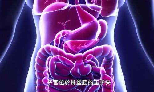 坐月子突然头晕目眩呕吐-月子期间突然头晕呕吐网 - 月子期间突然头昏眼花恶心怎么回事,月子期间突然头晕呕吐恶心